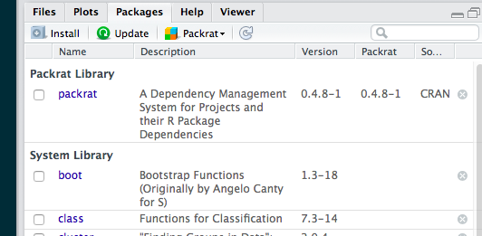packages window RStudio 